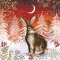 Amnesty Charity Christmas Cards - Winter Light - Pack of 10