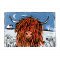Amnesty Charity Christmas Cards - A Highland Christmas - Pack of 10