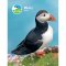 RSPB 2027 A5 Diary