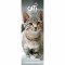 Cats Protection 2027 Slim Wall Calendar