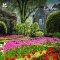 National Trust Gardens 2027 Wall Calendar