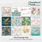 Transform Trade Charity Greeting Cards - Mixed 2 - Pack of 12