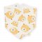 Kite Teddy Bib
