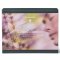 Dr. Hauschka Calm Collection Gift Set
