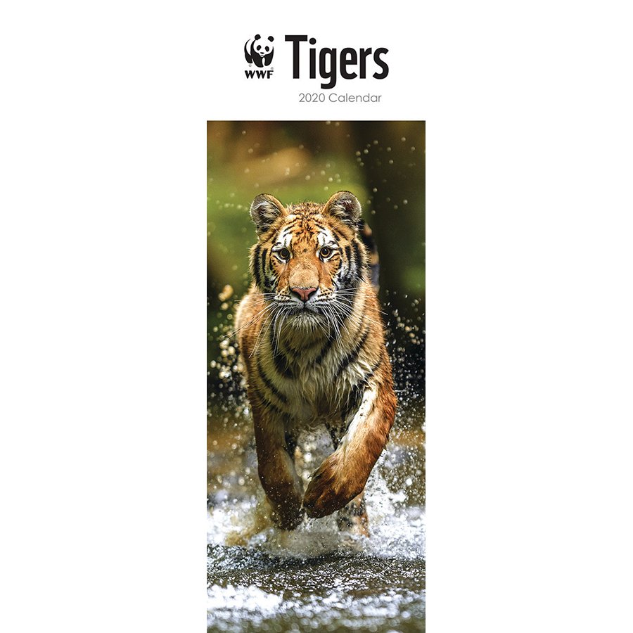 WWF Tigers 2020 Slim Wall Calendar WWF