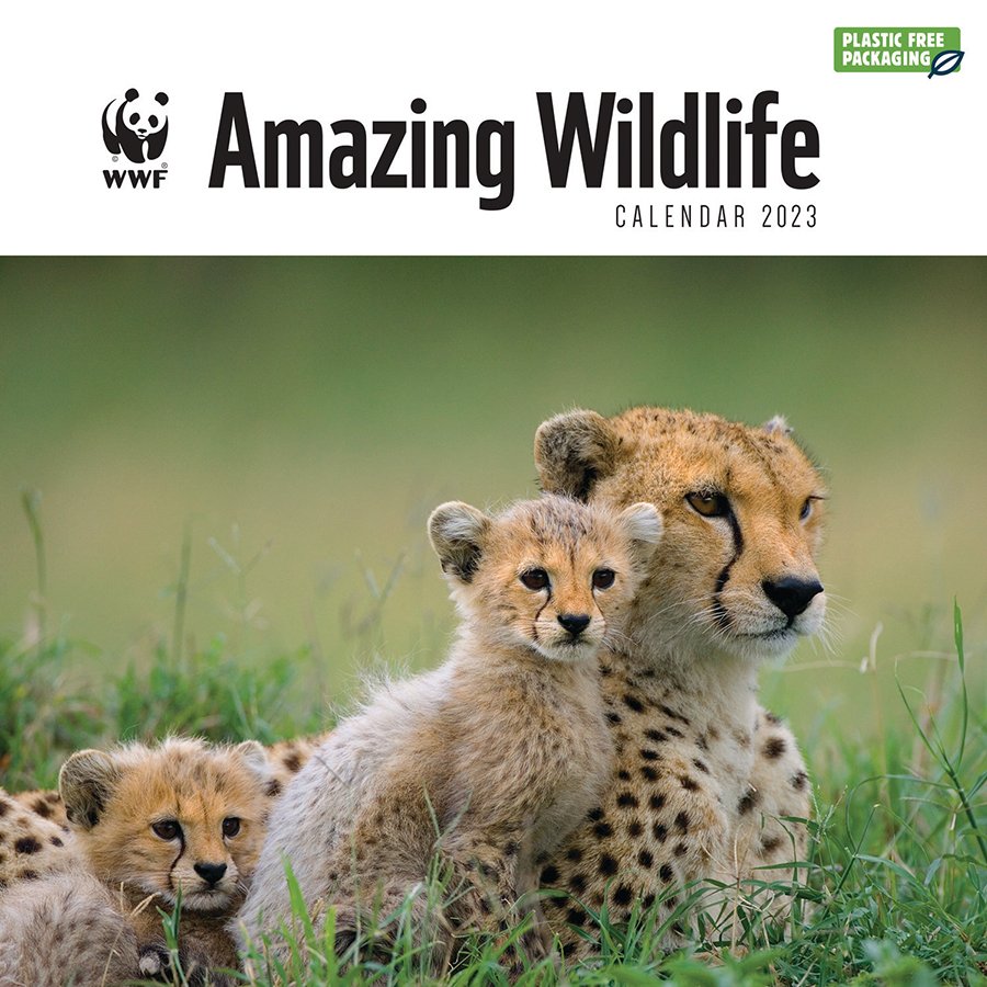 WWF Amazing Wildlife 2023 Wall Calendar WWF