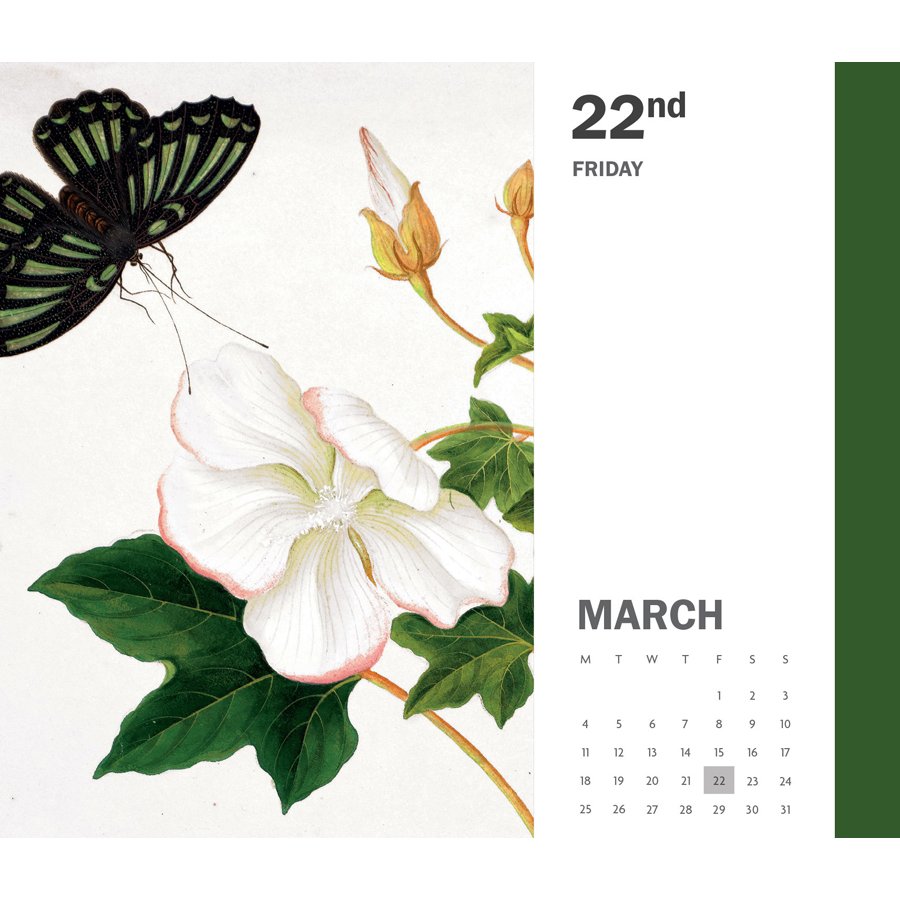 Royal Botanic Kew Gardens 2024 Desk Calendar Kew Gardens