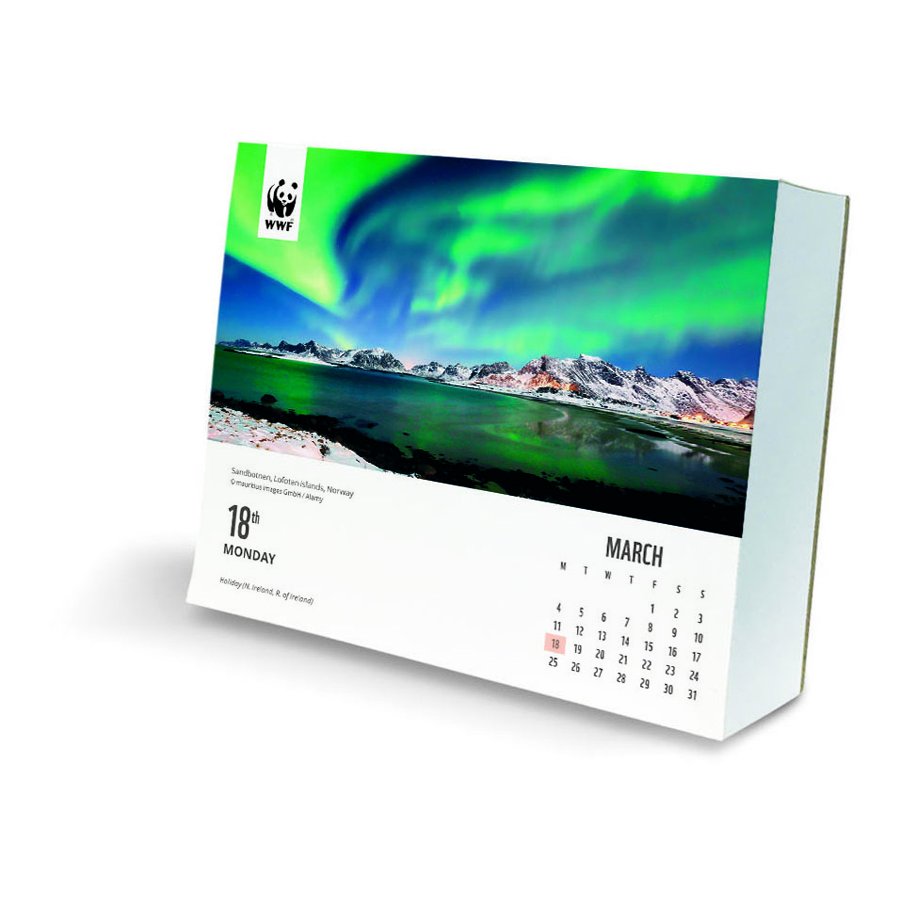 WWF Natural World 2024 Desk Calendar WWF